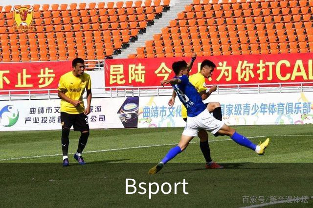 Bsport公司简介图片